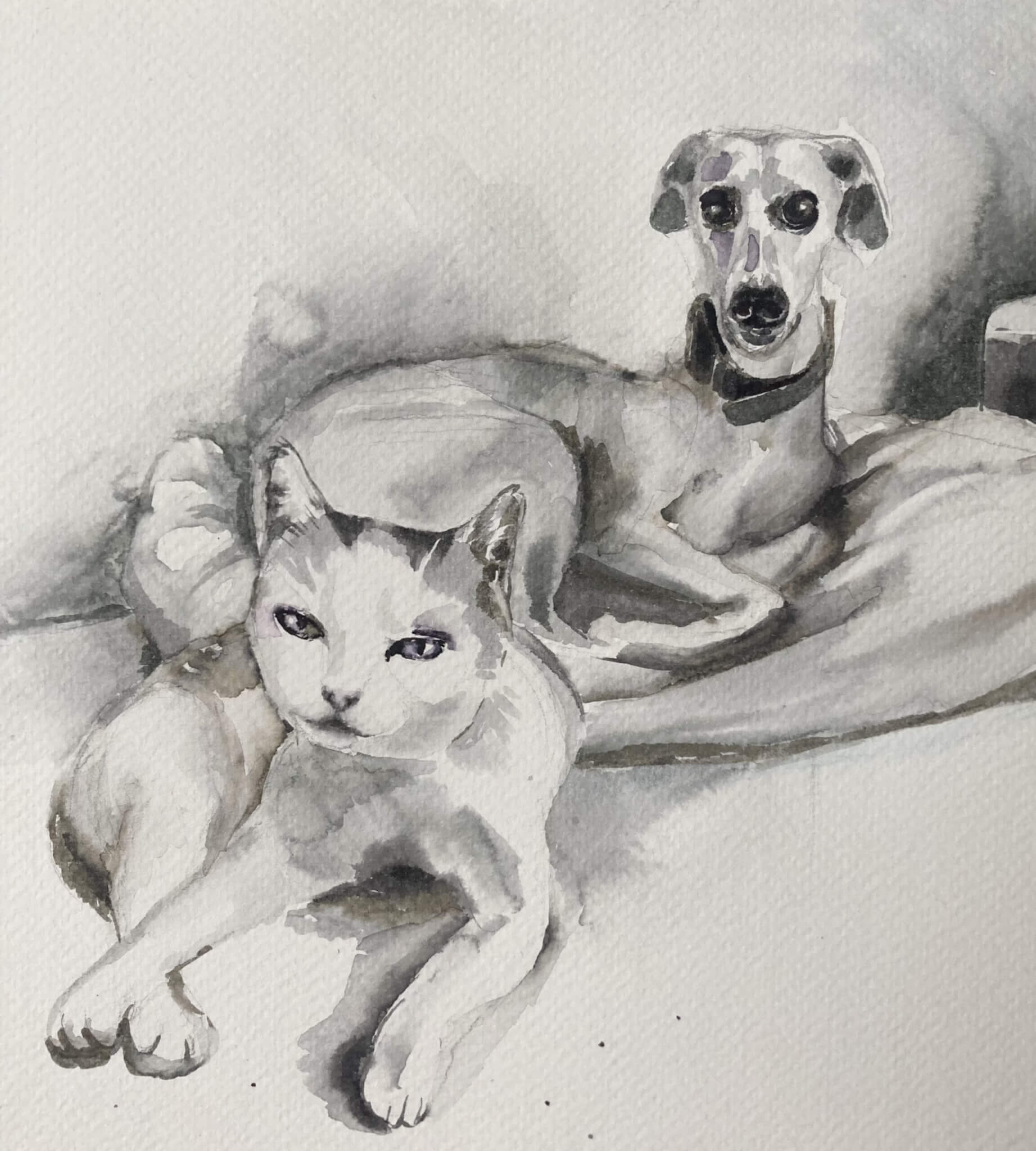 Malování akvarelem a obraz kočky