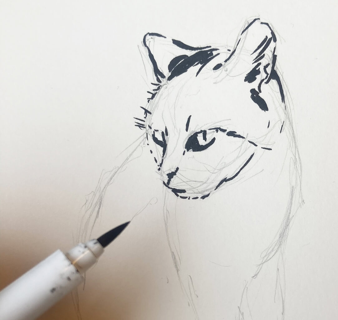 Jak namalovat kočku akvarelem